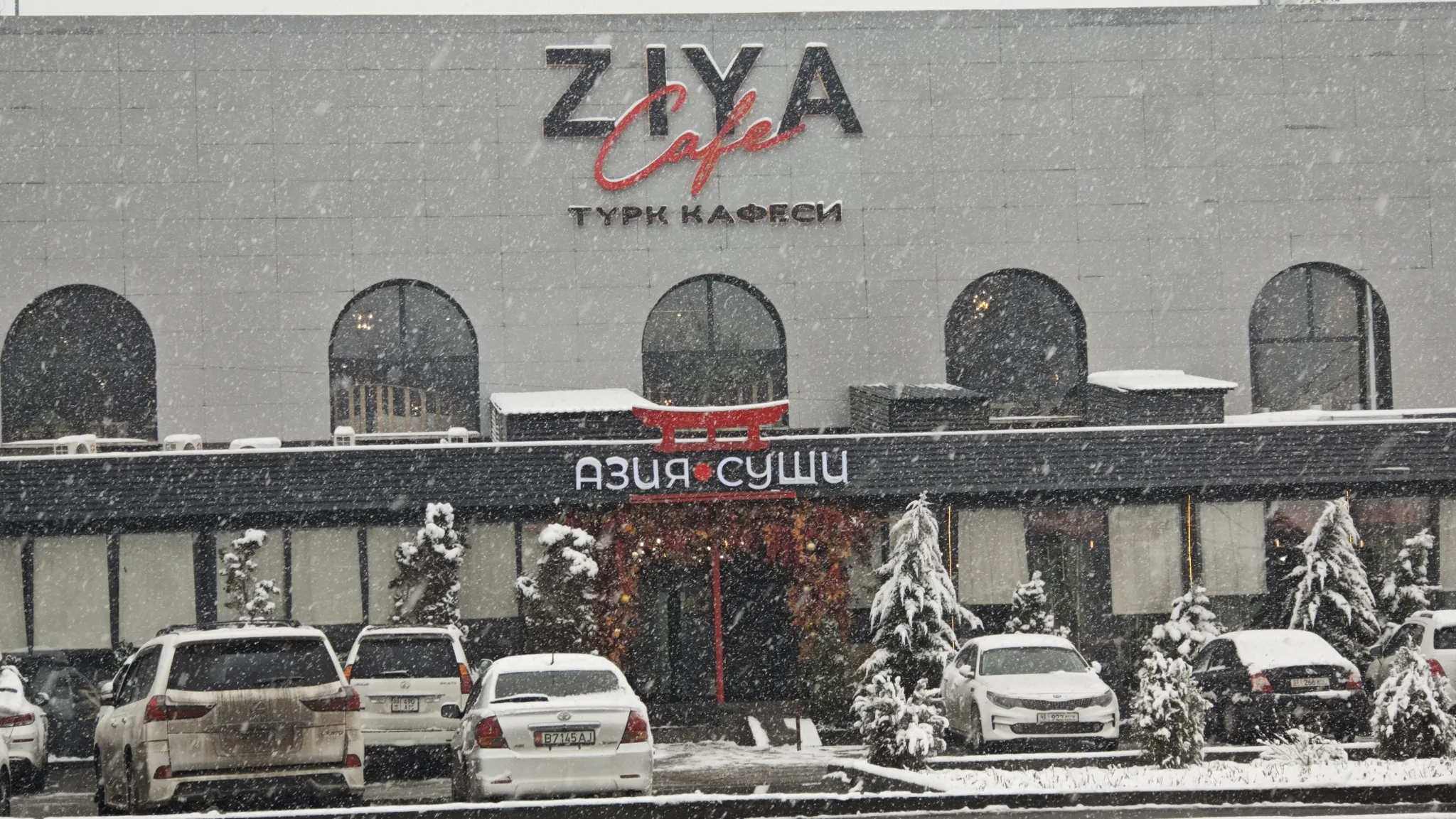 ZIYA